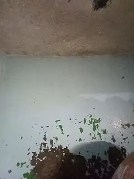 RandalHot online show from January 2026 04:18:01 AM