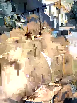 desitease online show from September 2025 08:03:01 AM