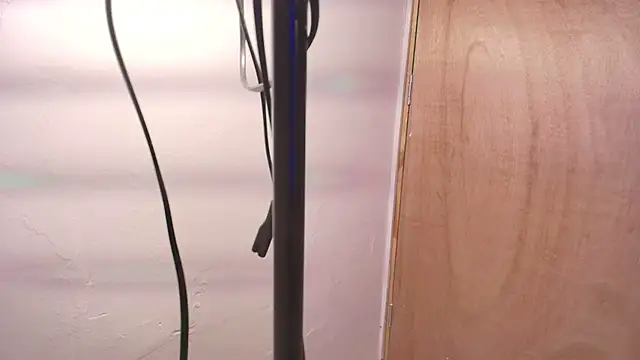 Terraelowen online show from February 2026 11:31:01 AM