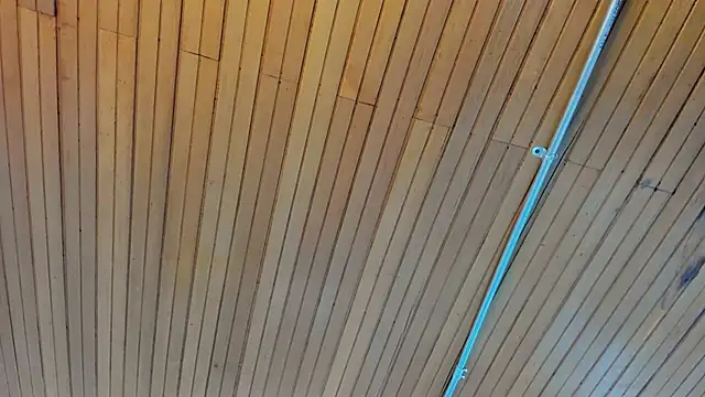 nicktorn online show from February 2026 12:35:02 PM