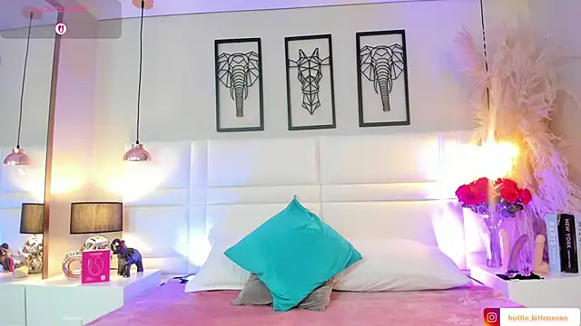 Snapshot of Viollet_xoxo chatting on November 2025 10:52:02 PM Viollet xoxo online show from November 2025 10:52:02 PM