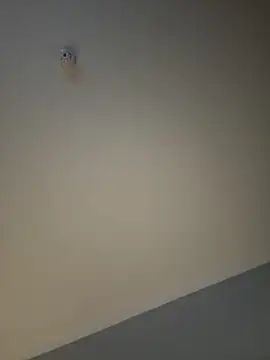 busty p online show from September 2025 09:04:02 PM