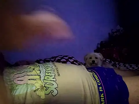 Snapshot of Alexandra23d chatting on October 2025 09:22:01 PM Alexandra23d online show from October 2025 09:22:01 PM