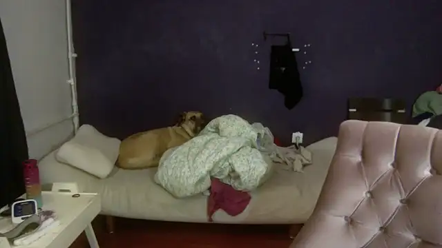 turkishTransEfsun online show from November 2025 10:05:01 AM