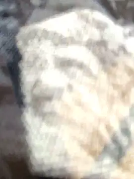 Zoe73  online show from February 2026 08:18:01 PM