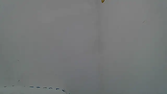 Kevintdx online show from April 2026 02:05:02 AM