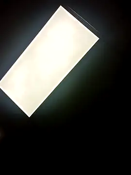 Longthickdick33 online show from October 2025 06:12:01 AM