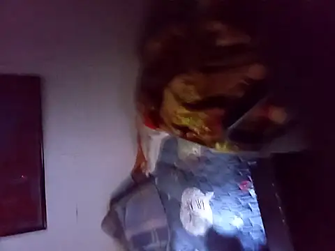 Snapshot of Gemenissss chatting on November 2025 06:47:02 AM Gemenissss online show from November 2025 06:47:02 AM