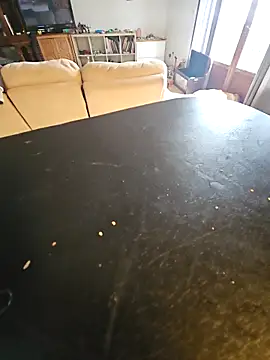 Stingles online show from March 2026 10:32:01 AM