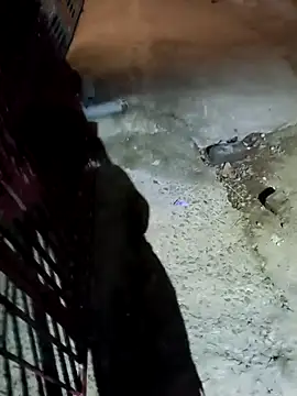 nughtytommy01 online show from April 2026 08:02:02 PM