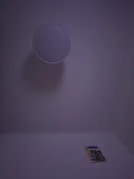 gigolobcn online show from February 2026 05:33:01 PM