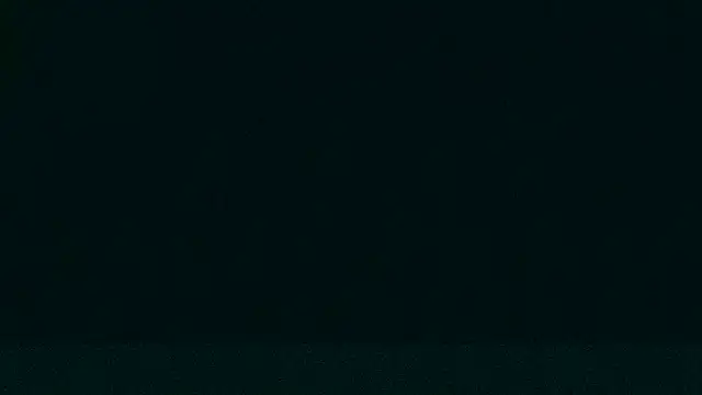 Snapshot of LeeCox chatting on December 2024 09:33:02 AM LeeCox online show from December 2024 09:33:02 AM