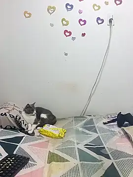 Snapshot of tany90 chatting on October 2025 11:17:01 PM tany90 online show from October 2025 11:17:01 PM