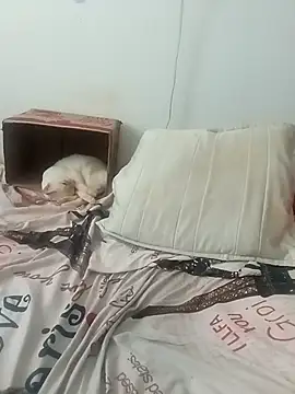 Snapshot of tany90 chatting on November 2025 08:20:01 PM tany90 online show from November 2025 08:20:01 PM