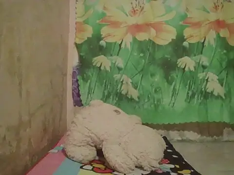 sexymorenal18 online show from September 2025 01:38:01 PM