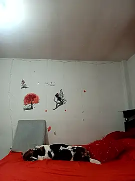 Lady 16 online show from January 2026 01:53:01 AM