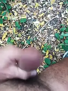 pegaso369 online show from October 2025 01:44:02 PM