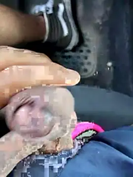 pegaso369 online show from April 2026 12:16:02 PM