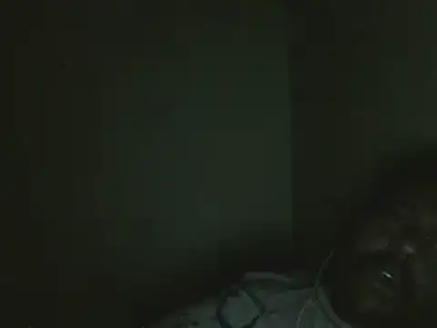 elpoop7305 online show from March 2026 08:36:02 PM