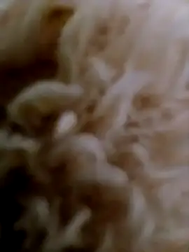 hanan-sex online show from November 2025 07:28:01 PM