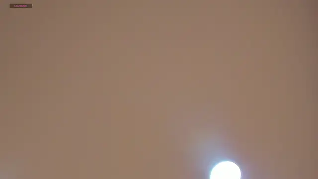 Snapshot of CharlotteBrownn_ chatting on June 2026 11:31:02 PM CharlotteBrownn online show from June 2026 11:31:02 PM
