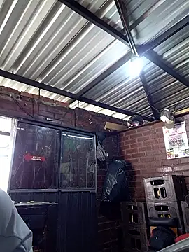 kay towers99 online show from April 2026 06:31:02 PM