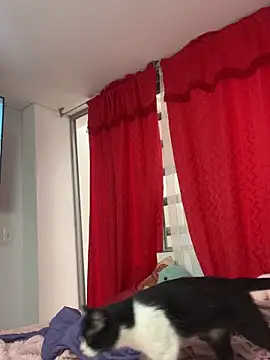 larsonbeverly online show from April 2026 05:50:01 PM