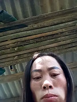 CoMay003 online show from November 2025 06:22:01 AM