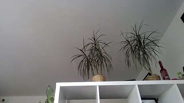 bigcockjohnxxxxx online show from November 2025 11:20:02 AM