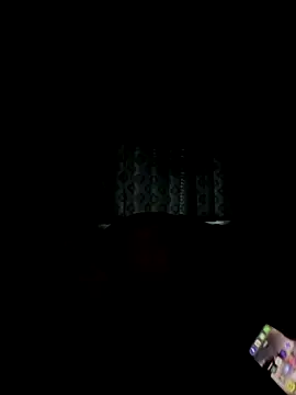 Snapshot of philefc chatting on October 2025 06:56:02 AM philefc online show from October 2025 06:56:02 AM