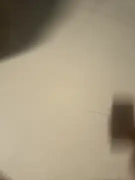 newboygoa online show from February 2026 04:02:01 PM