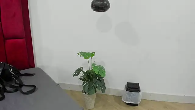 Snapshot of Mollyxketa1_ chatting on October 2025 11:23:01 PM Mollyxketa1 online show from October 2025 11:23:01 PM