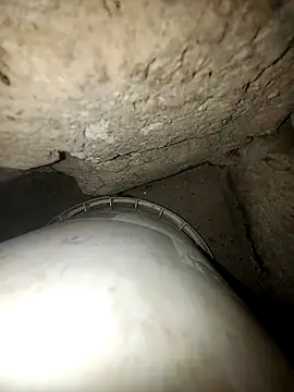 princexdcs online show from February 2026 11:53:02 PM