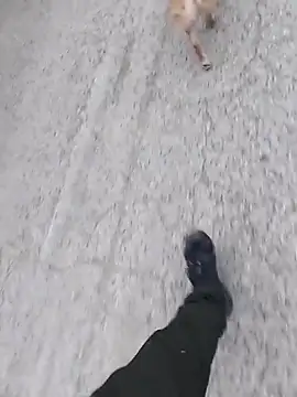 Axelitoc online show from March 2026 06:09:02 AM