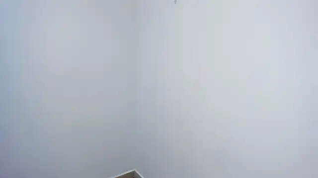 stephane rouss online show from November 2025 08:57:01 PM