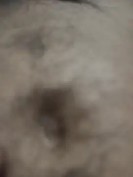 Snapshot of Hat-Raja77 chatting on October 2025 06:27:01 PM Hat-Raja77 online show from October 2025 06:27:01 PM