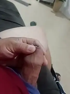pulssante online show from August 2026 09:37:02 AM