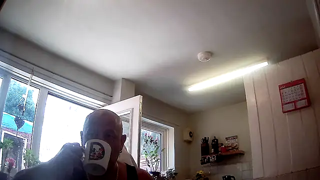 playfulchell online show from July 2026 10:55:01 AM