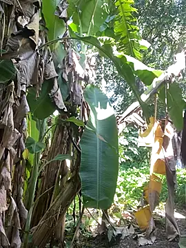 anastasia cums online show from October 2025 05:54:02 AM