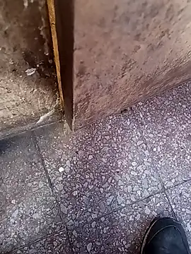 lucho2328 online show from September 2025 07:14:02 PM