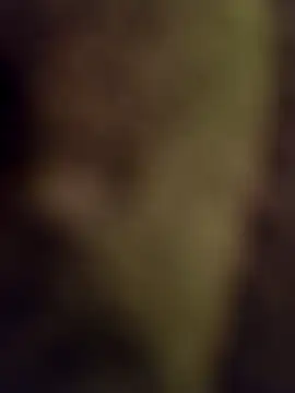 lucho2328 online show from September 2025 04:52:01 PM