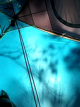 PainPriness online show from September 2025 06:35:01 PM