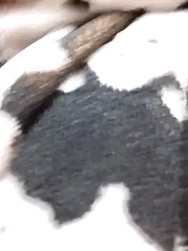 Laxmi 89 online show from November 2025 03:52:01 AM