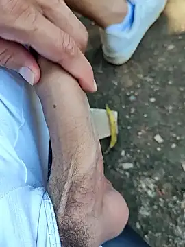 Snapshot of Master_pigdirty chatting on September 2025 03:56:02 PM Master pigdirty online show from September 2025 03:56:02 PM