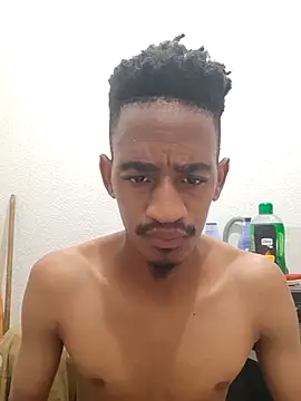 gemini loops online show from January 2026 07:06:02 PM