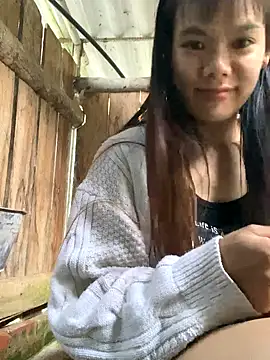 PhanHaa online show from October 2025 11:36:01 PM