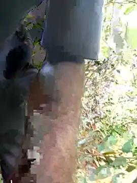 kavi1q1 online show from January 2026 04:39:01 AM