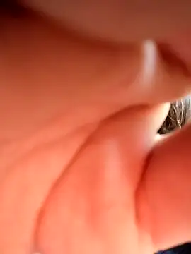 Sinejdk3 online show from November 2025 07:44:02 AM