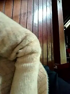 Sinejdk3 online show from January 2026 09:46:02 AM