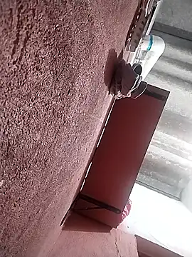 KingMaxiZ online show from October 2025 11:58:02 PM